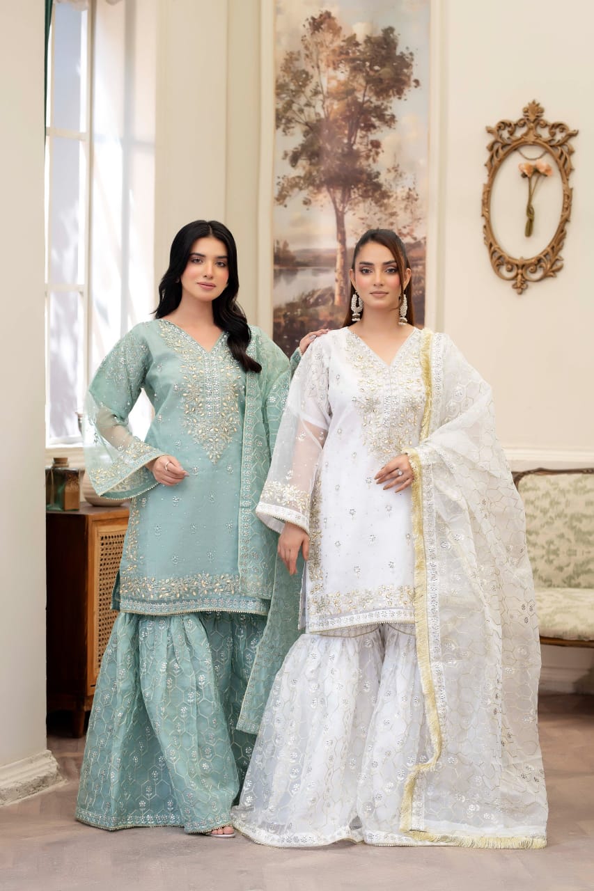 Havi Fancy Sharara Hande Made Embroidery 3pc